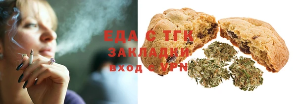 индика Богородск