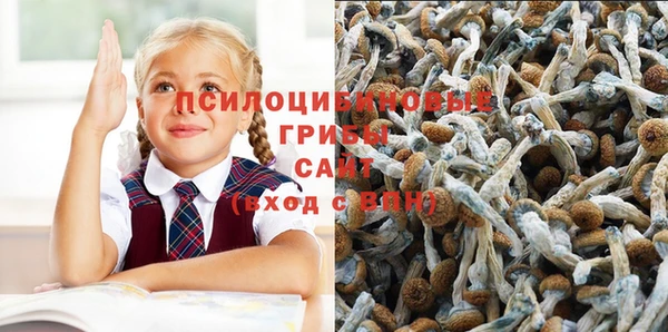 хмурый Богородицк