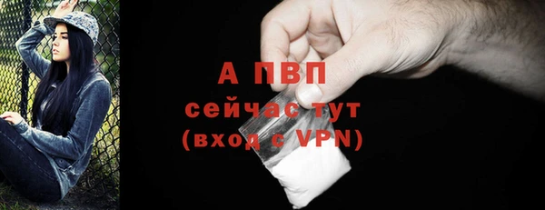индика Богородск