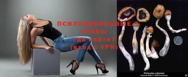 индика Богородск