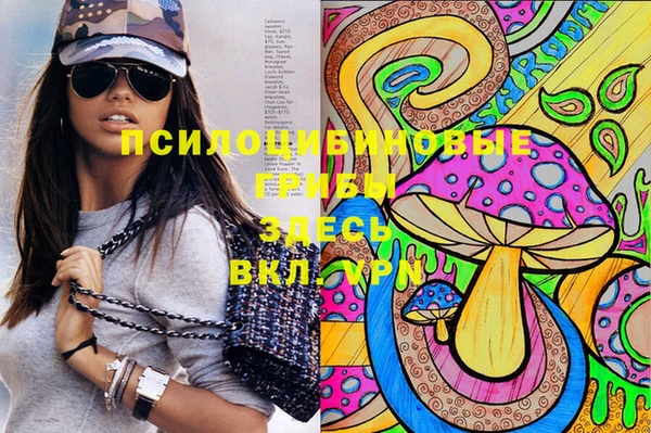ешки Белокуриха