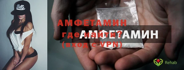 индика Богородск