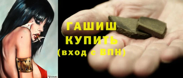индика Богородск