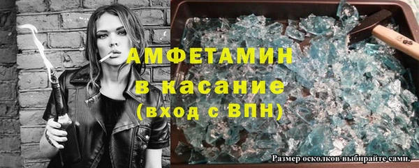 индика Богородск