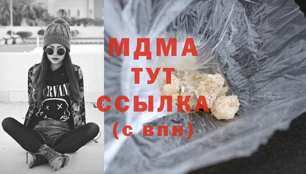 индика Богородск