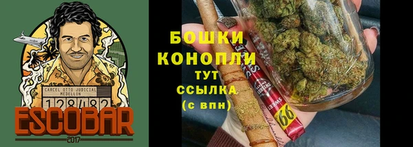 COCAINE Богданович