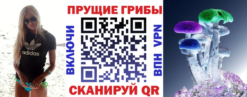 Галлюциногенные грибы Cubensis  продажа наркотиков  Карабулак 
